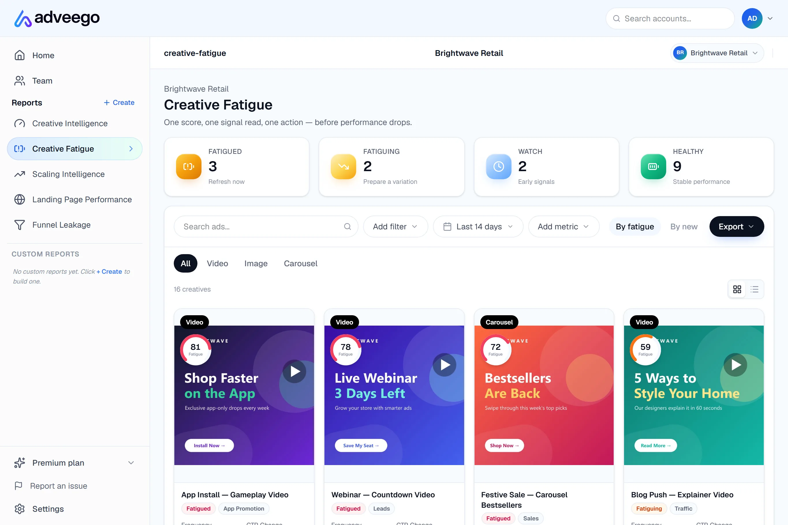 Adveego Creative Fatigue report: each creative scored as fatigued, fatiguing, watch or healthy, with a clear next step.